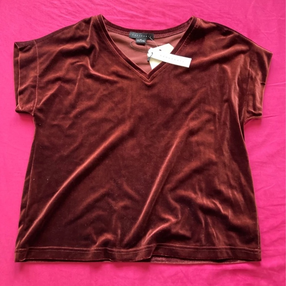 Sanctuary velvet red brown short sleeve blouse